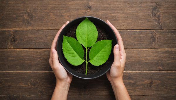 Le bonus écologique : guide pour un achat responsable et économique